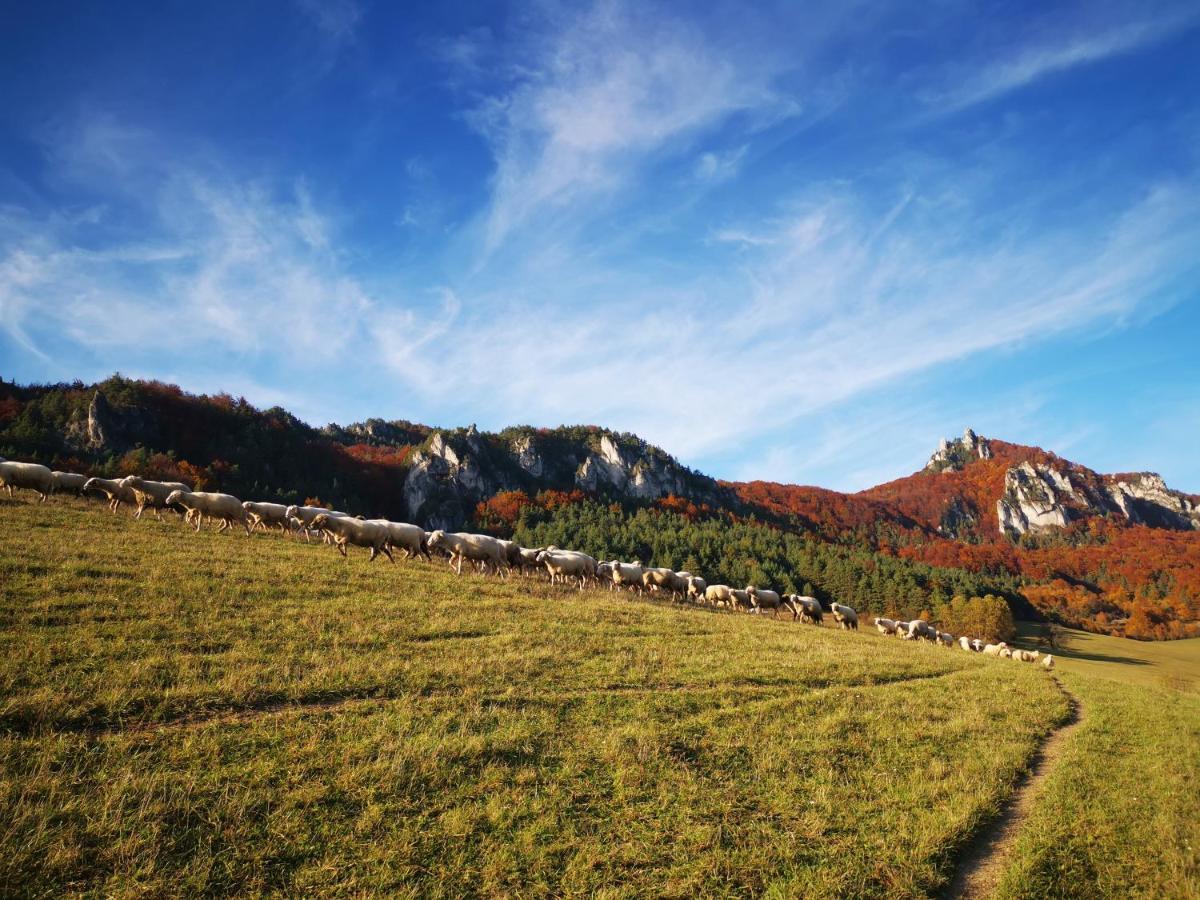 Koliba Pod Skalami Vila Sulov Exterior foto